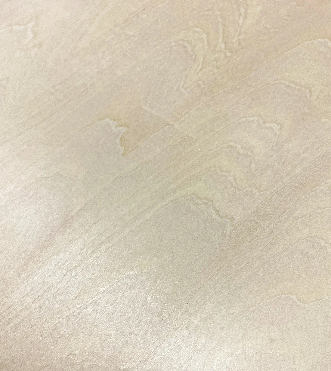 Basswood_1