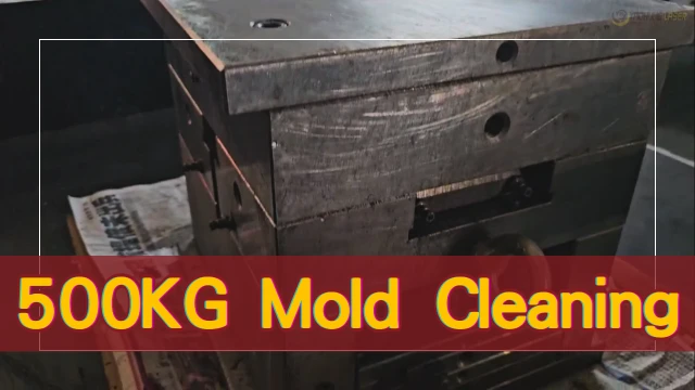 500KGMoldCleaning-En